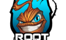 Root